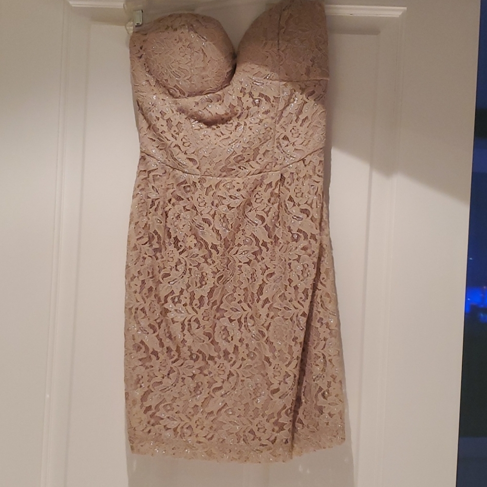 Taupe Dress